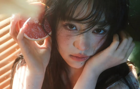 律政剧佳作《南风过境》- 高清电视剧全集