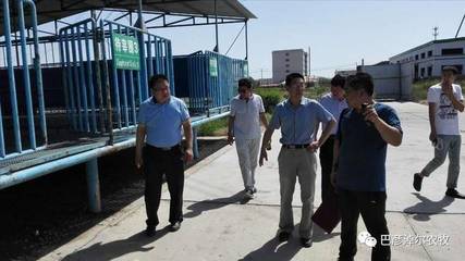 強化監管保安全，巴彥淖爾市畜禽屠宰企業獸醫醫療器械迎檢記